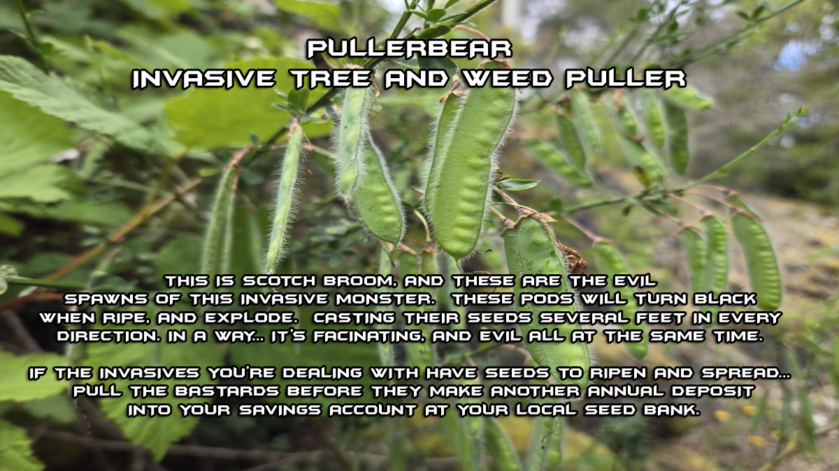 Pullerbear Invasive Scotch Broom Puller
